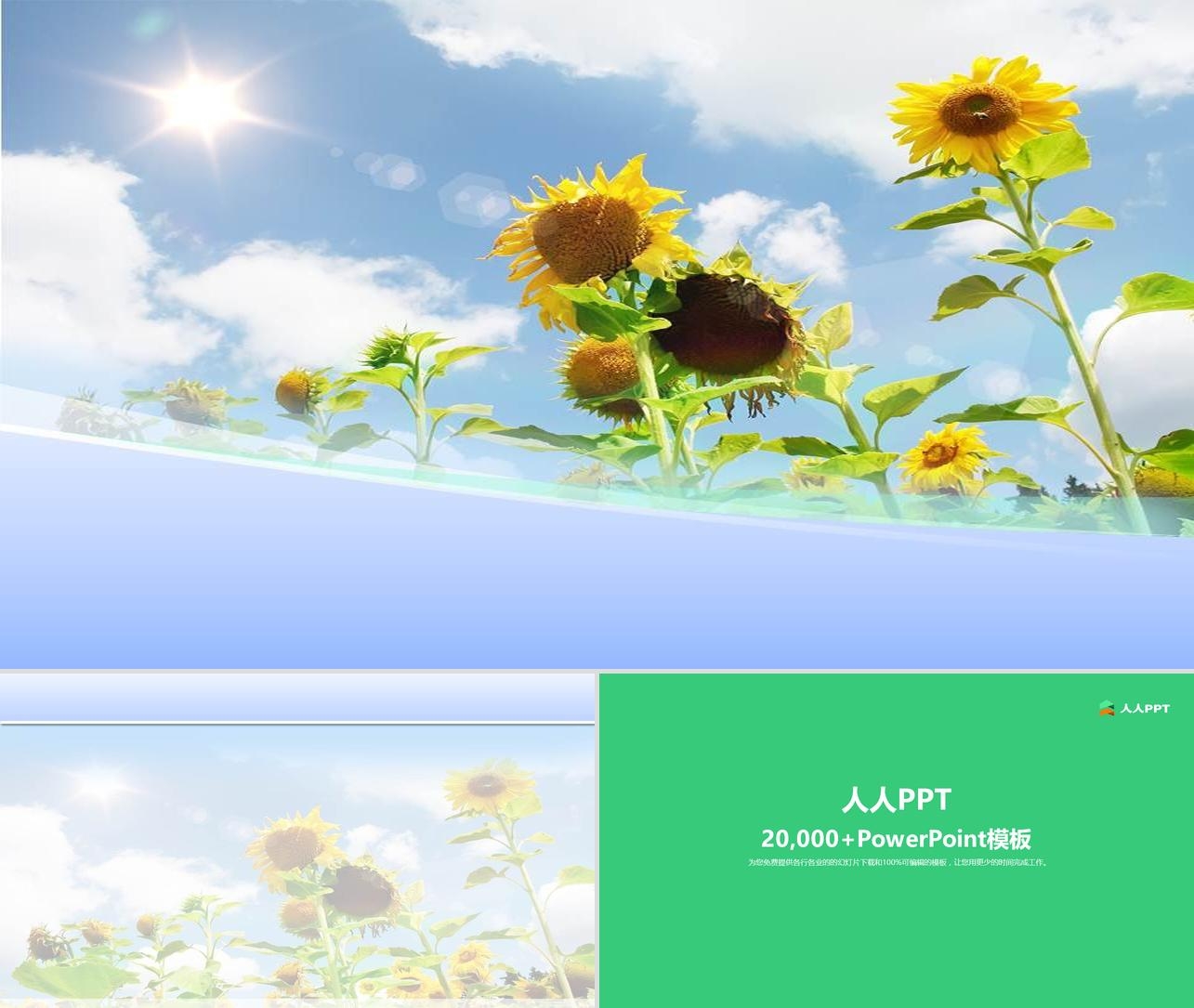 蓝天阳光下的向日葵自然PPT模板长图