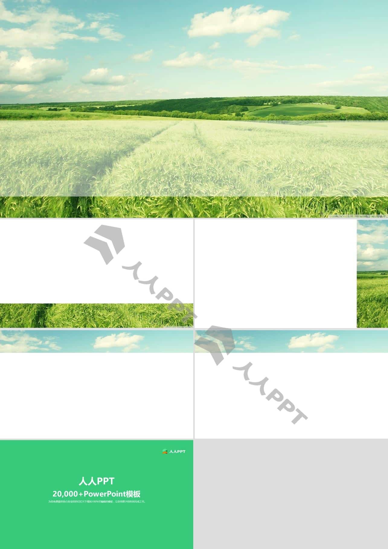 一望无际的绿色麦田自然PPT模板长图