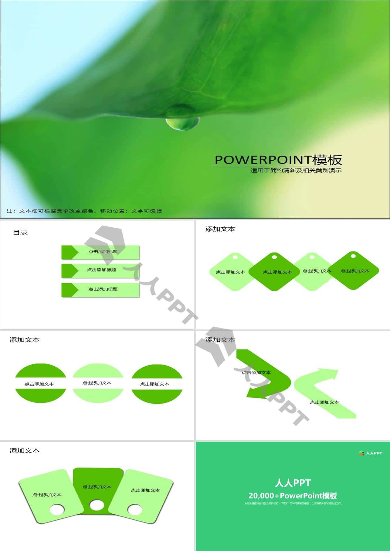 荷叶自然清新淡雅绿PPT模板长图