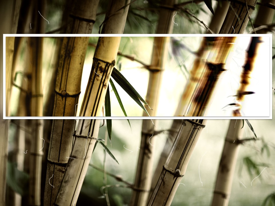 竹趣――自然风景模板