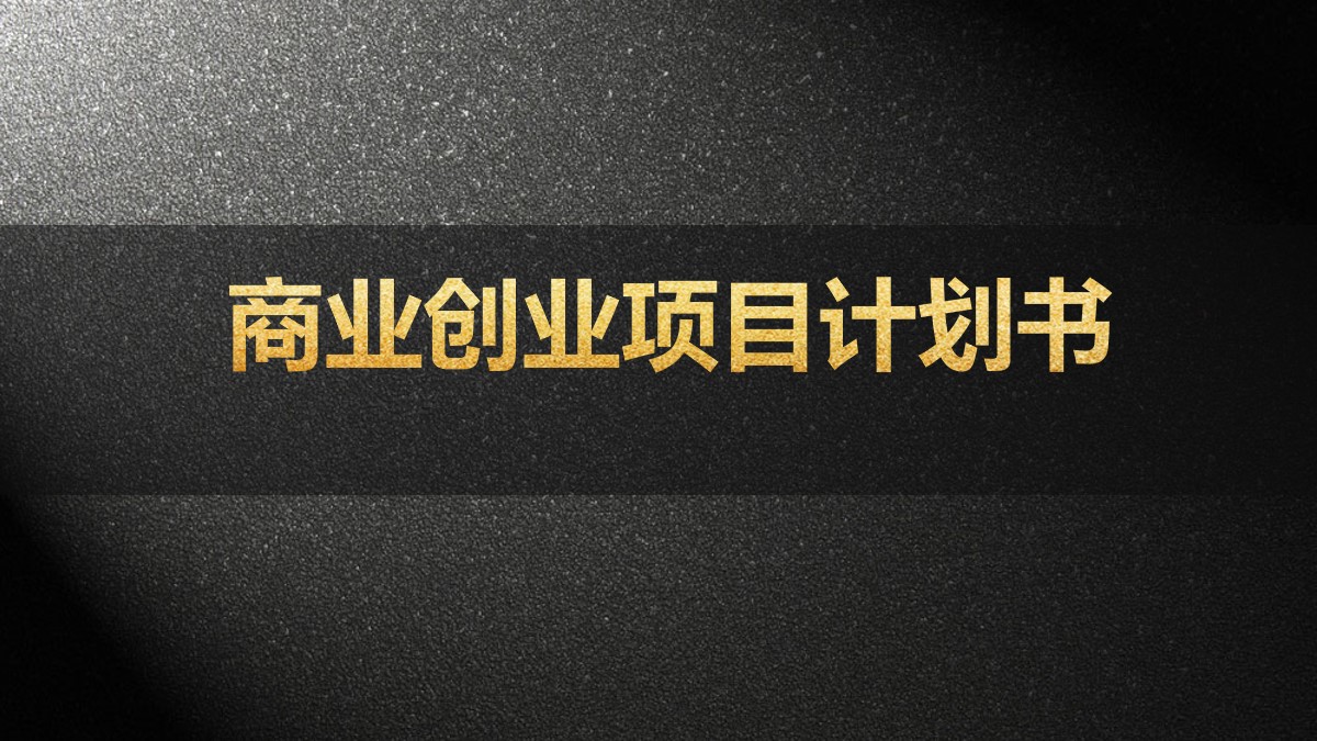 简洁大气黑金PPT模板 商业计划书PPT模板