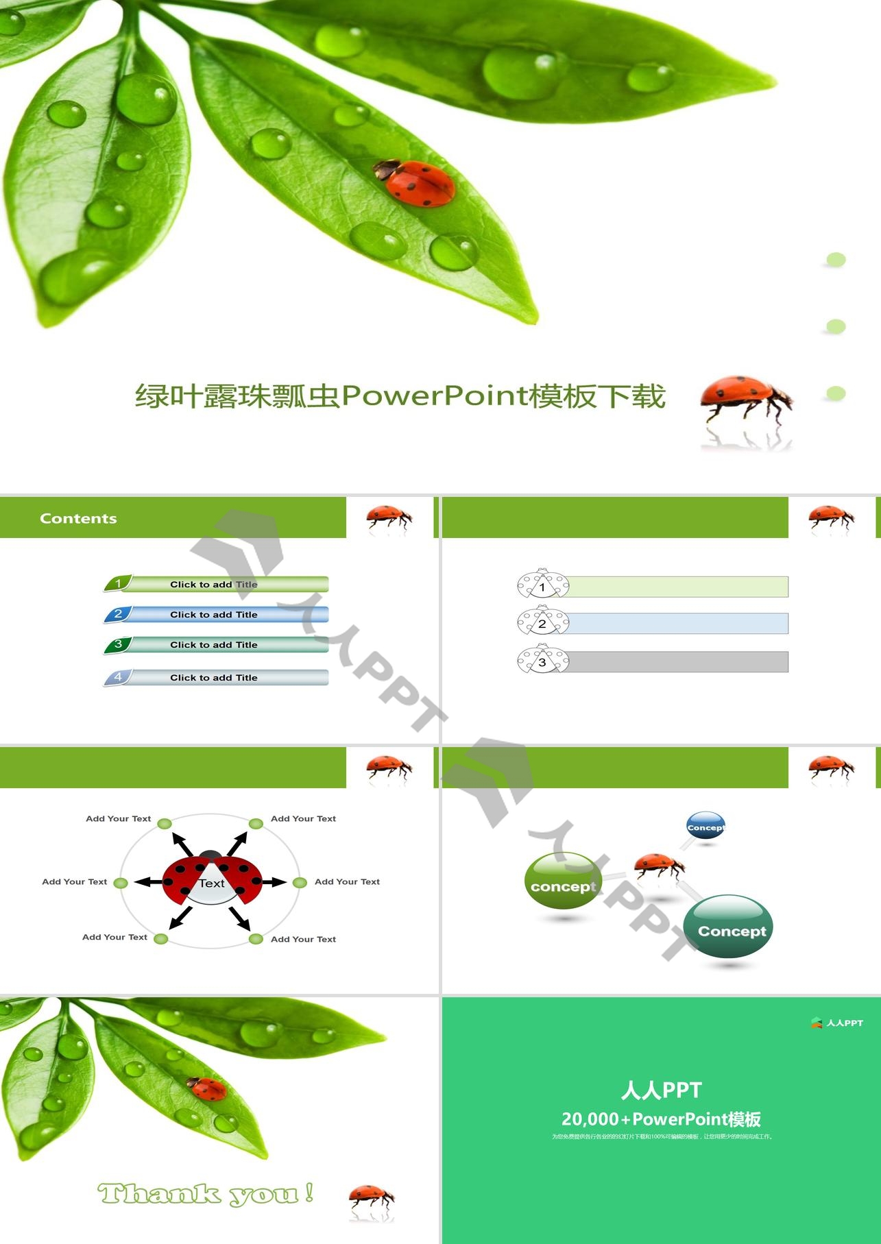 清新绿叶露珠七星瓢虫背景PPT模板长图