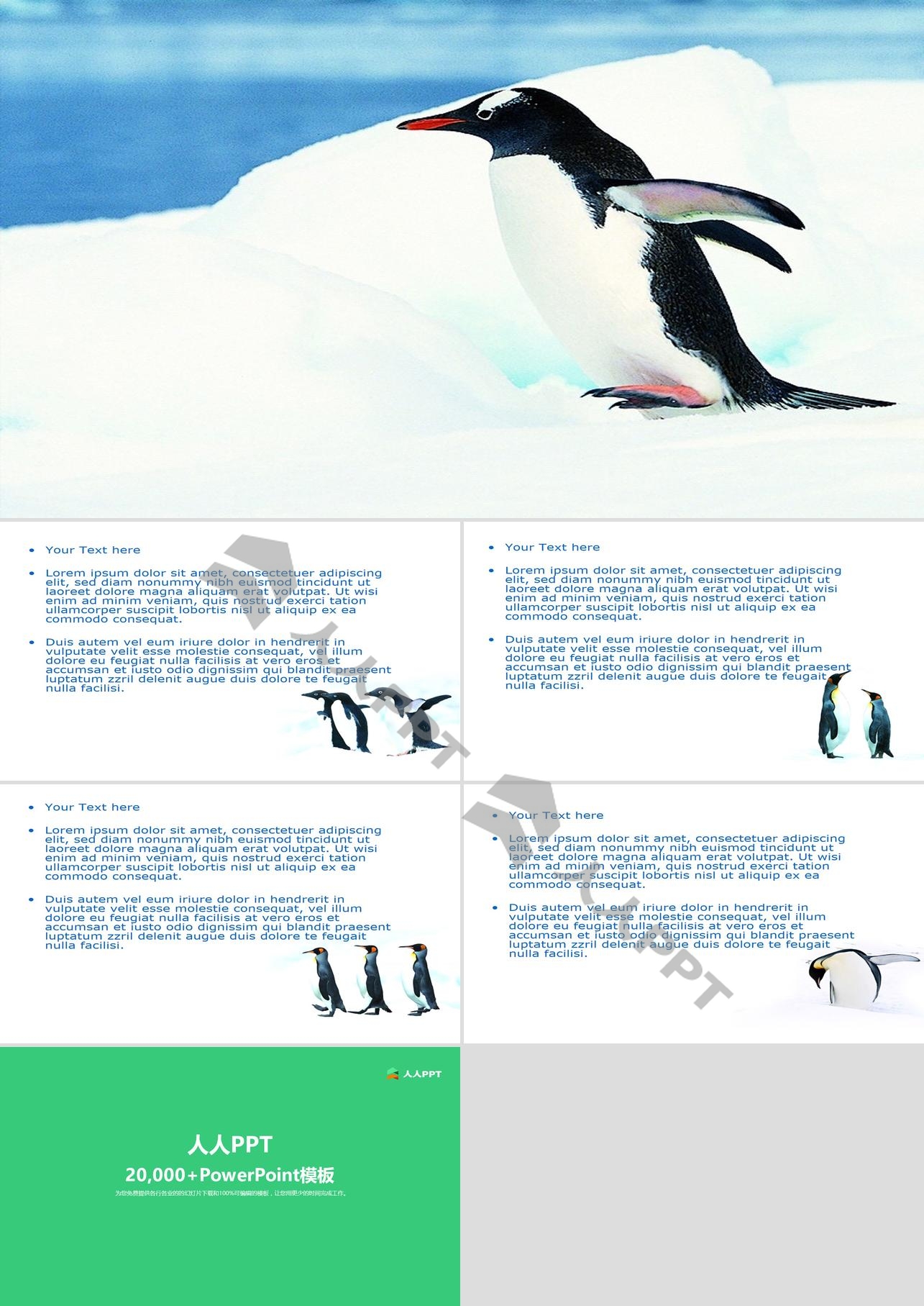 南极企鹅保护动物PPT模板长图