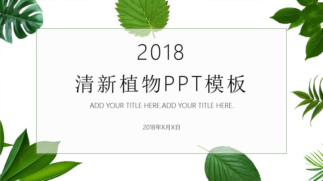 清新绿叶绿色植物PPT模板